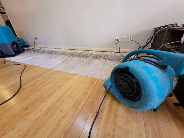 Professional Water Extraction technician working in Tontogany, OH